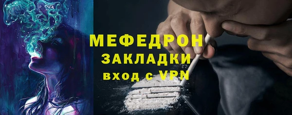 индика Дмитриев