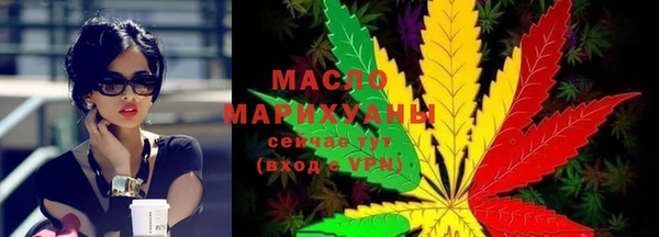 индика Дмитриев