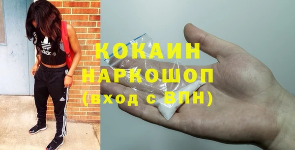 индика Дмитриев