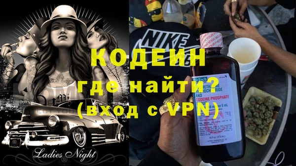 индика Дмитриев