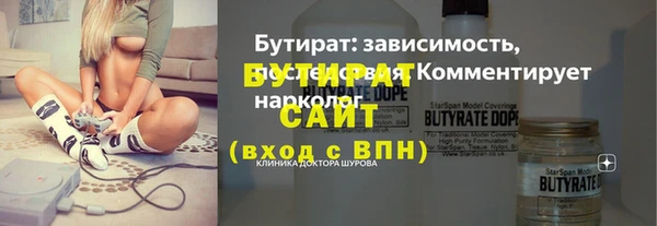 индика Дмитриев