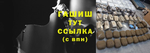 индика Дмитриев
