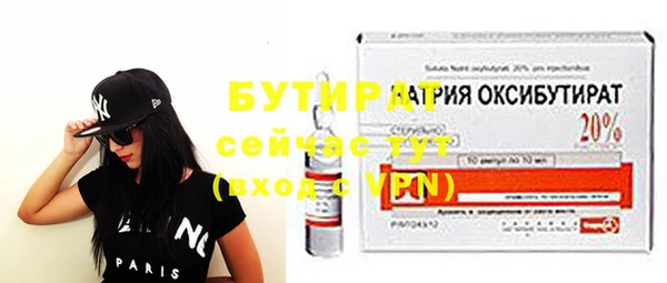 индика Дмитриев