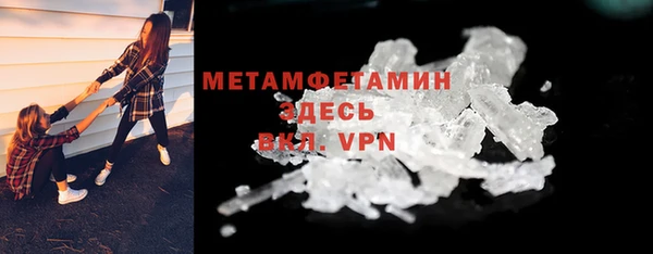 индика Дмитриев