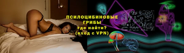 винт Дмитров