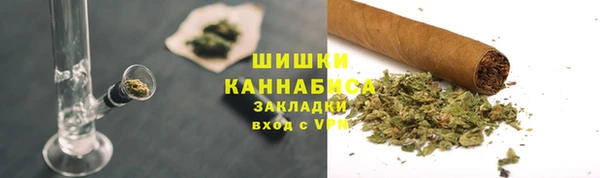 индика Дмитриев