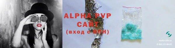 индика Дмитриев