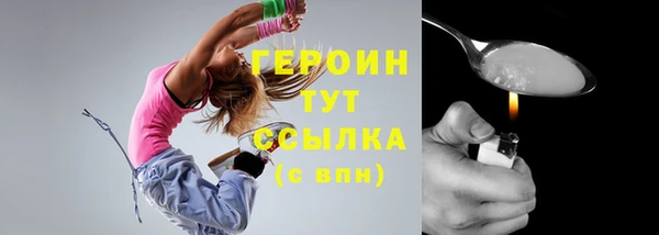 индика Дмитриев