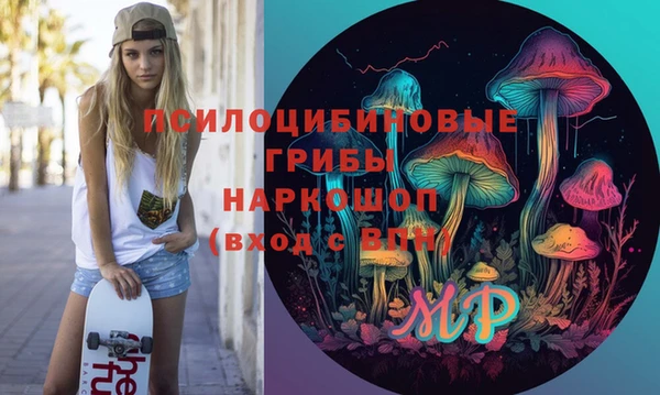 индика Дмитриев