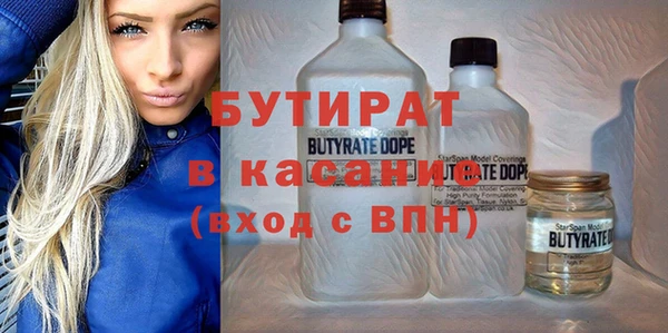 индика Дмитриев