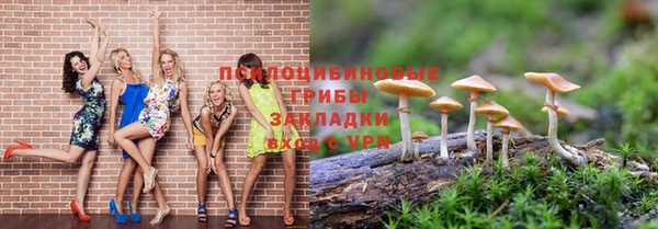 индика Дмитриев