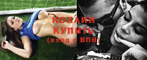 индика Дмитриев