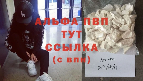 индика Дмитриев