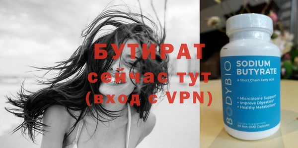 индика Дмитриев
