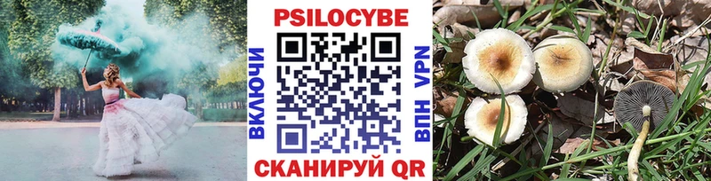 Псилоцибиновые грибы Magic Shrooms  Купить  Козьмодемьянск 